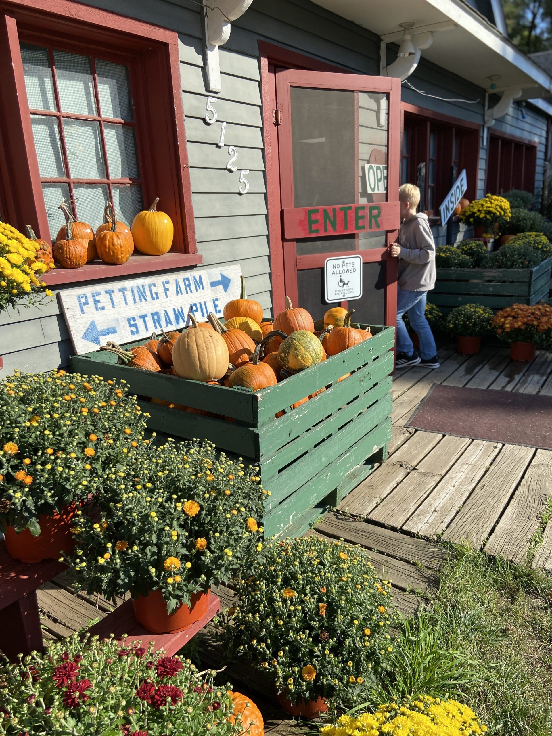 The entrance of the mill welcomes guests on a sunshine filled day where pumpkins mums and gourds are on display bright and colorful Rochester Cider Mill