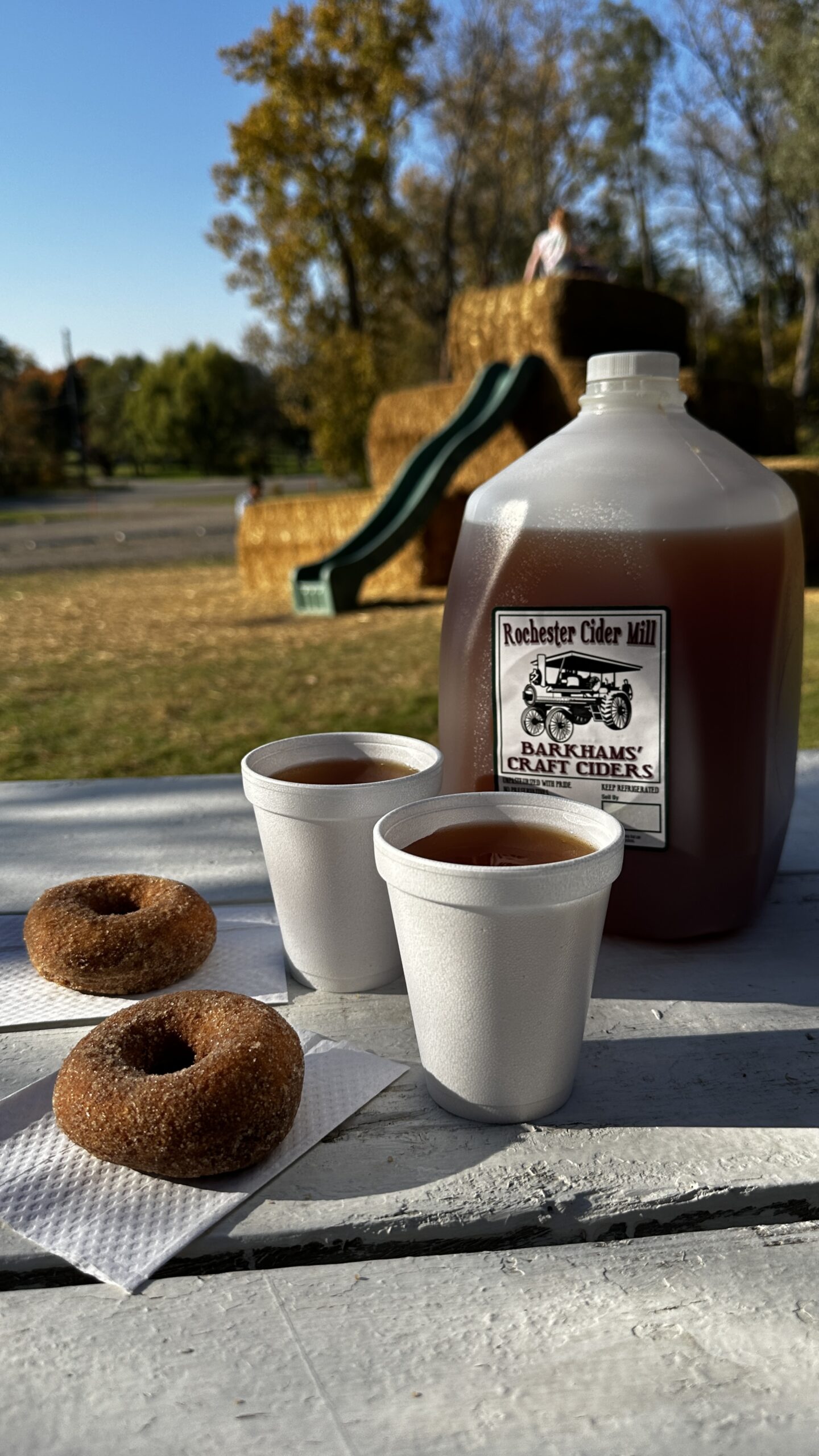 Enjoying crisp sweet fresh unpasteurized apple cider at Rochester Cider Mill outdoors fun michigan agriculture