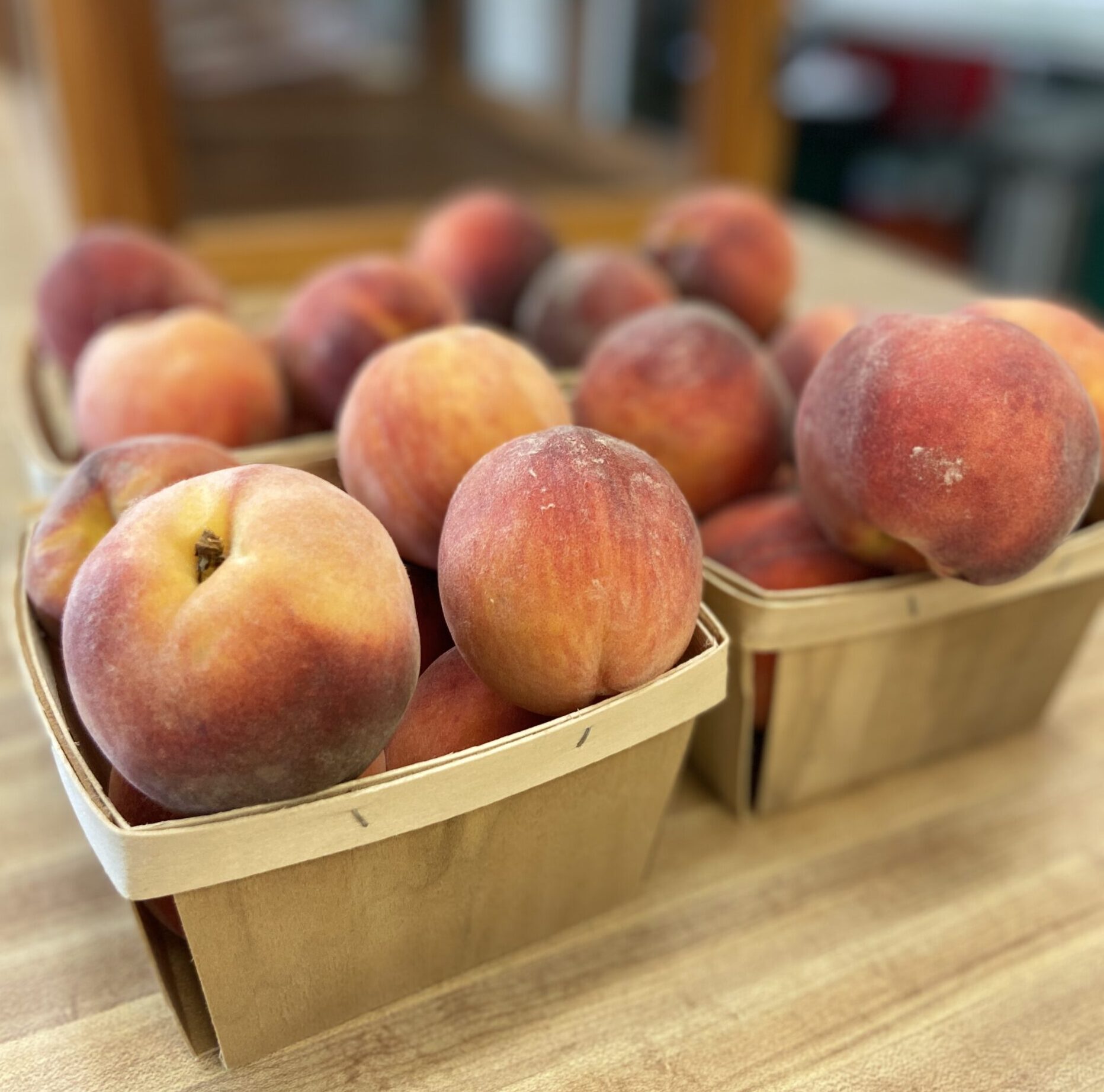 Michigan Fresh Homegrown Farm Fresh Peaches available in Late Summer