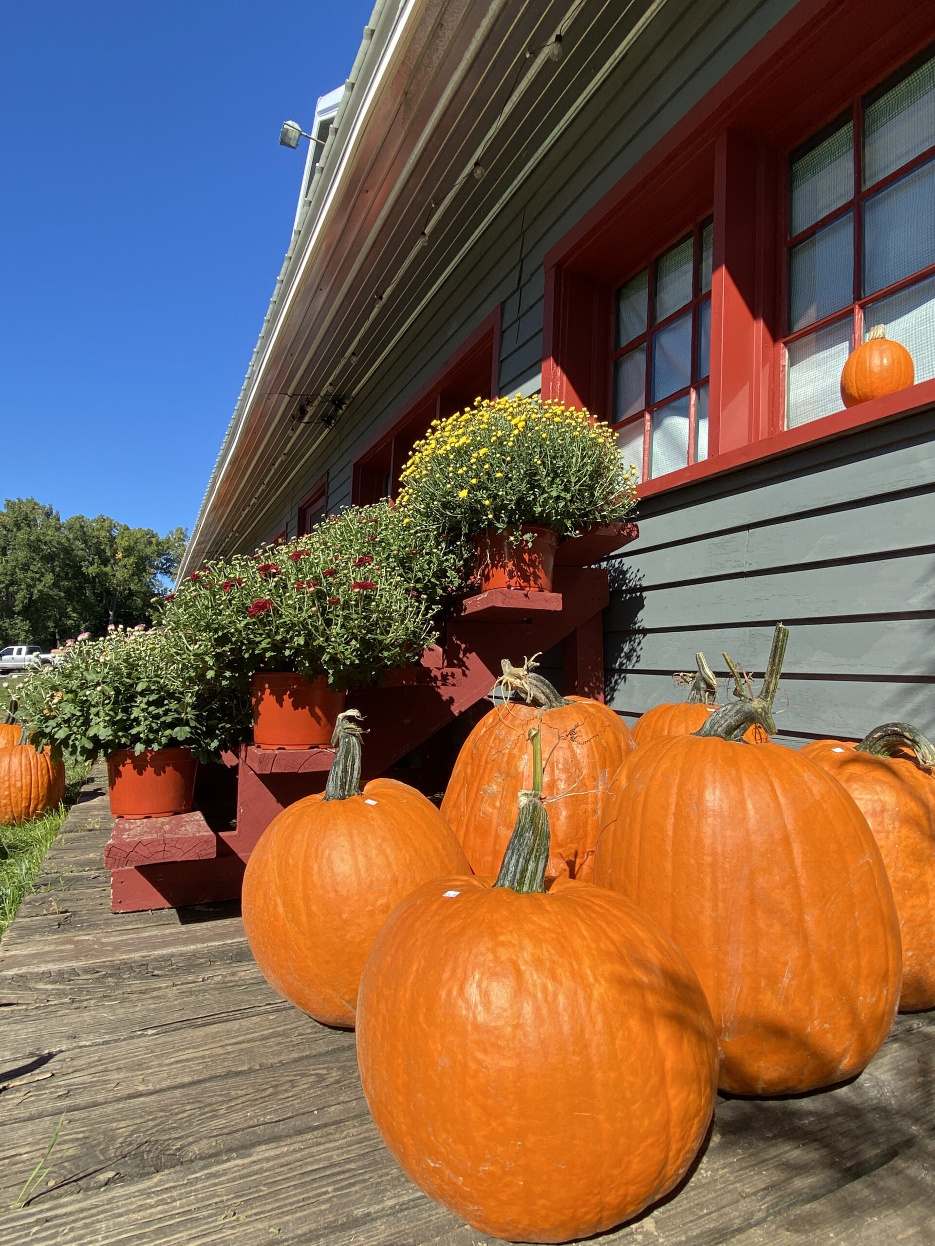 Autumn Beauty at Rochester Cider Mill Picturesque for Photos Autumn Decor Food Cider Mill Oakland County