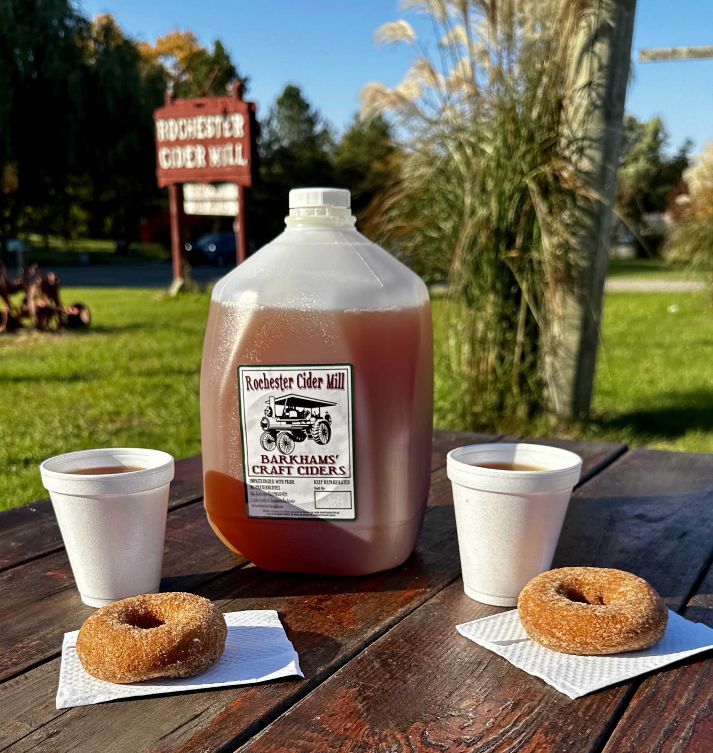 Fresh apple cider and warm donuts are delicious at the beautiful outdoor picnic area at Rochester Cider Mill