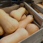 Fresh Michigan Butternut Squash at Rochester Cider Mill Agriculture Delicious